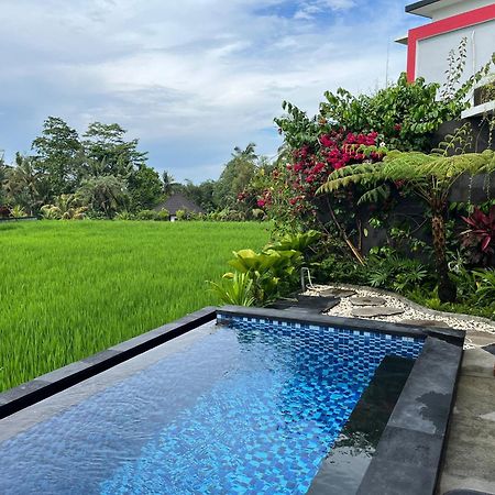 Maple Ridge Ubud Villas Eksteriør billede