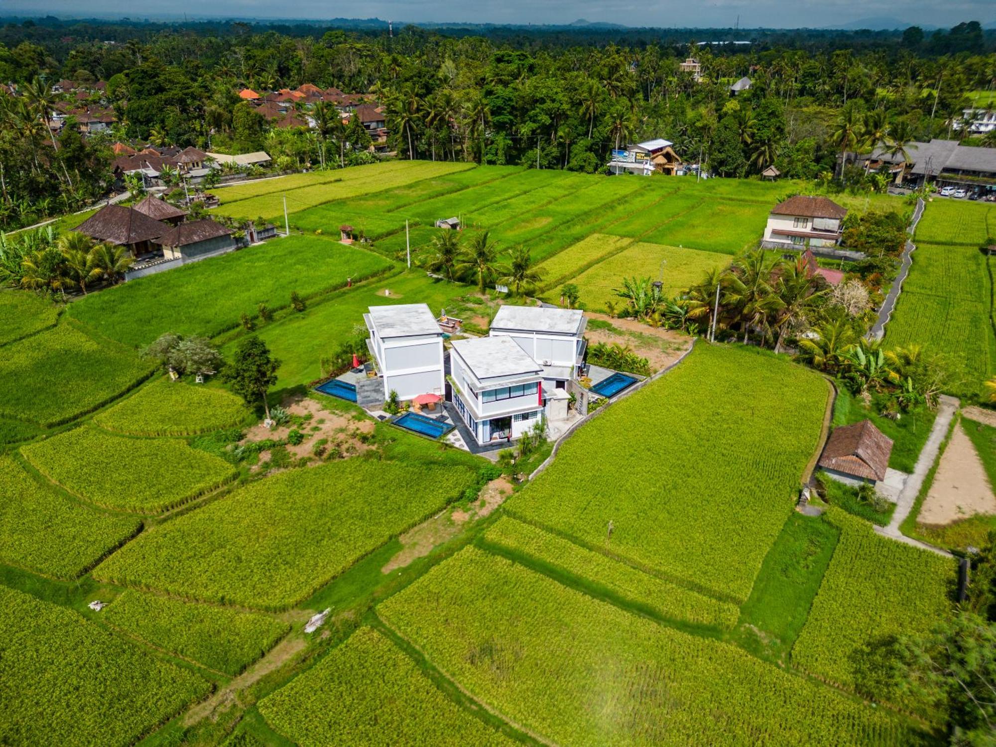 Maple Ridge Ubud Villas Eksteriør billede