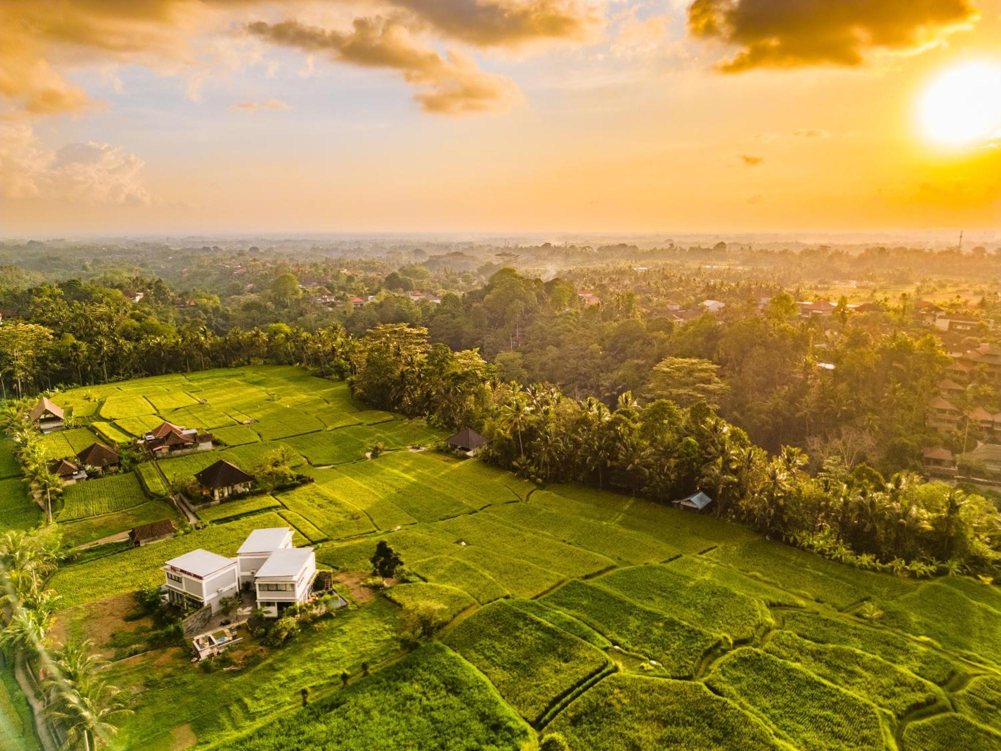 Maple Ridge Ubud Villas Eksteriør billede
