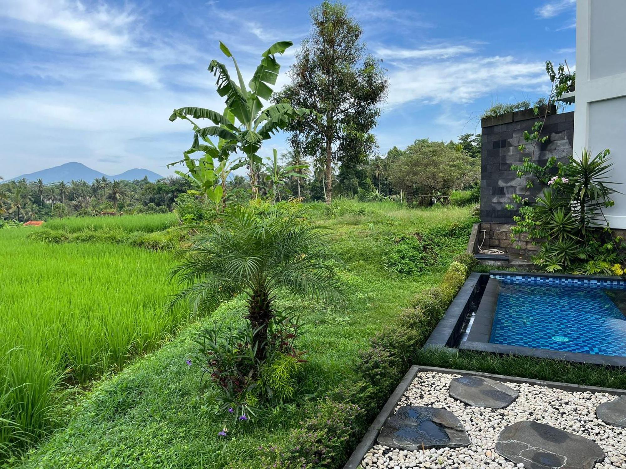 Maple Ridge Ubud Villas Eksteriør billede